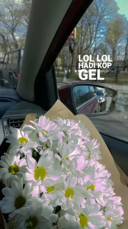 yaz şarkısı 
