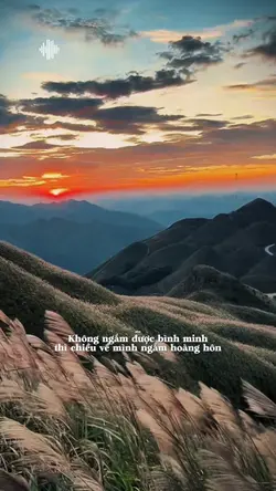 Không ngắm được bình