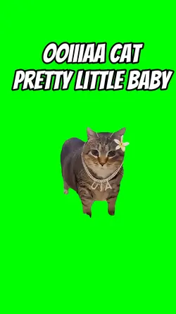 Ooiiaaa pretty baby
