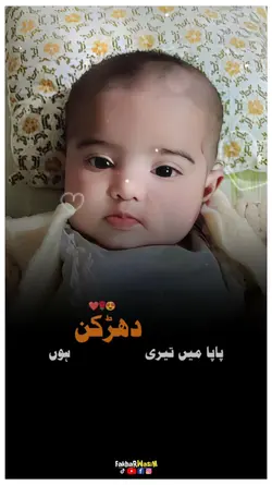 Papa m teri darkan