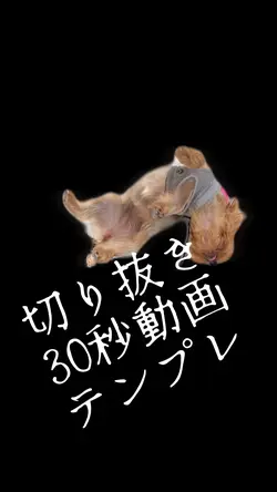 背景削除し軽く輪郭ぼかして30秒動画に