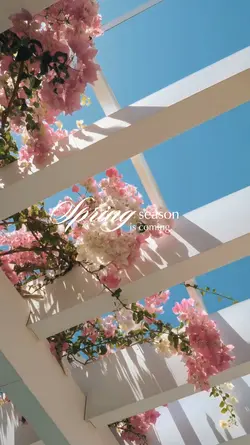spring is coming 