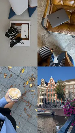 4 grid videos