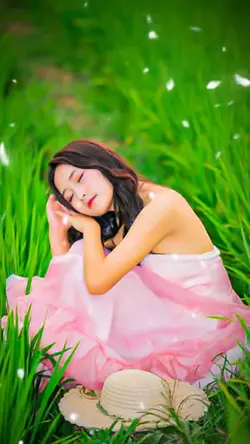 MẪU 1 ẢNH