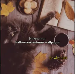 Autumn Wallpaper 