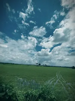 slow motion video 