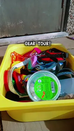essa gear tour!