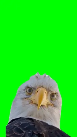Eagle