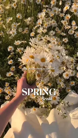Spring Gateway Vibes