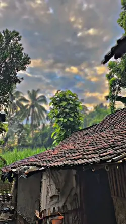 BLUR HD JERNIH 