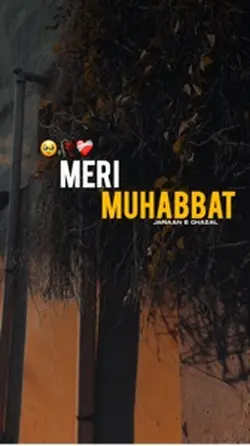 Meri Muhabbat🫠