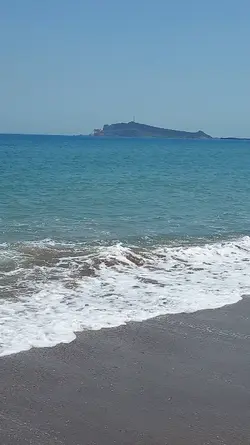 漂浪的海沙