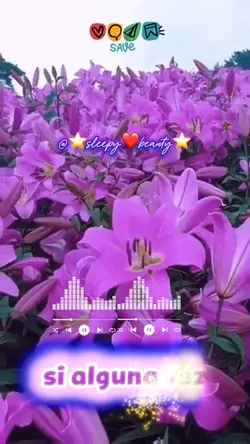 Luis Miguel