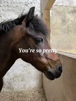 You're so pretty 