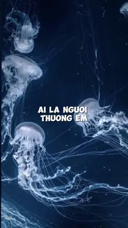 Ai là người thương e