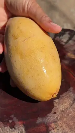 mẫu 