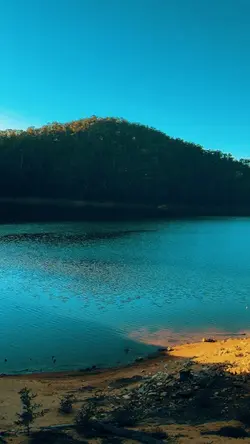 Mini vlog video