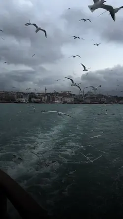 EFSANE ŞABLON 
