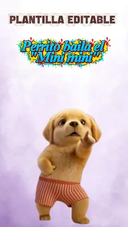 Perrito Mini mini