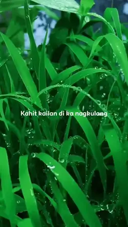 Di ka Nagkulang