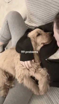99 - 0 problems 