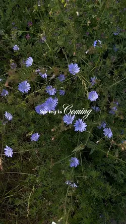 Spring is coming 