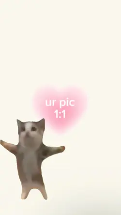 happy happy cat