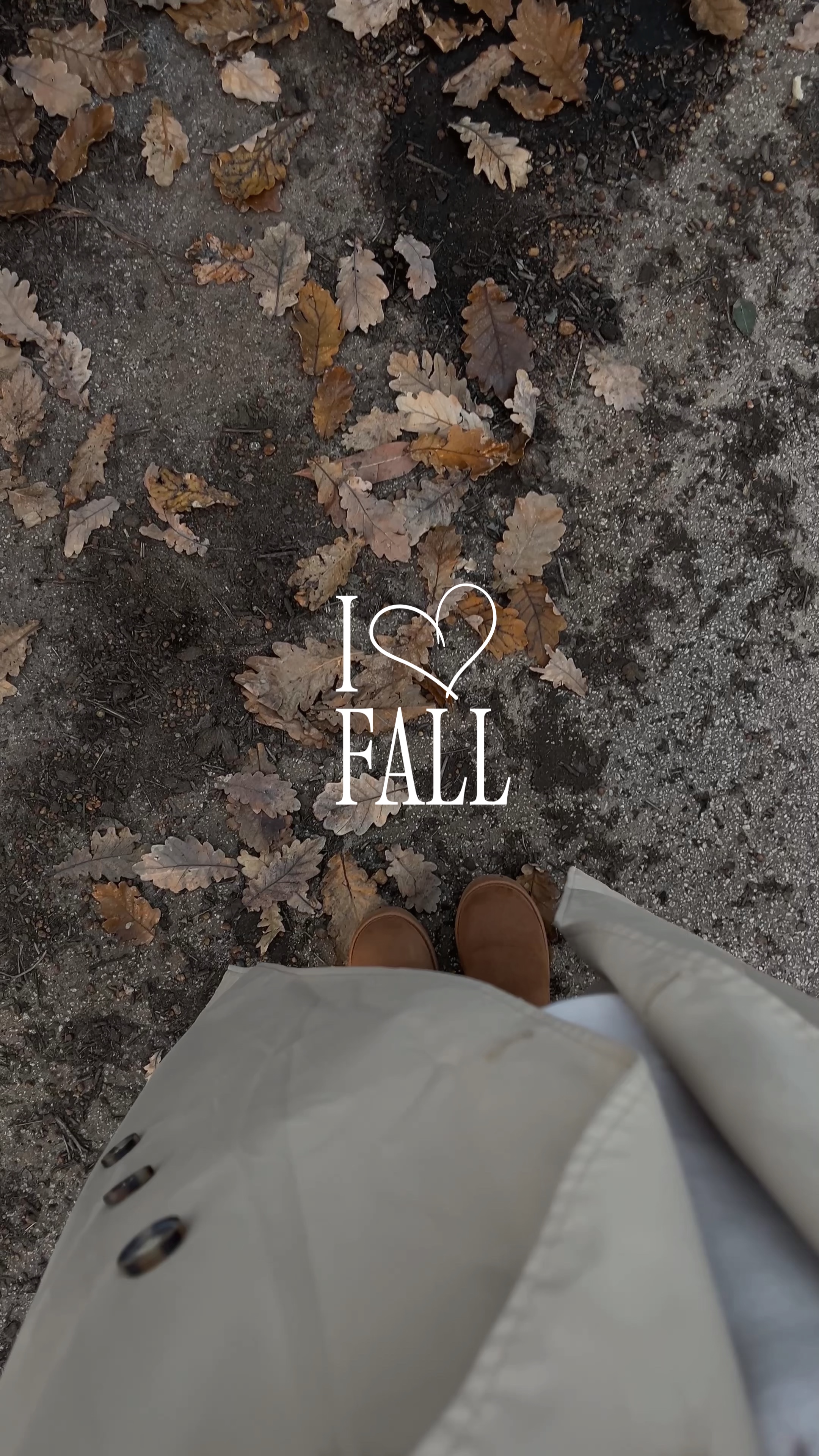 Fall Aesthetic Templates - Pippit