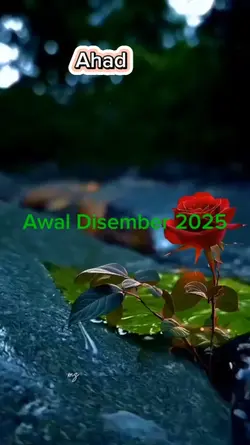 #Awal Dis 2024