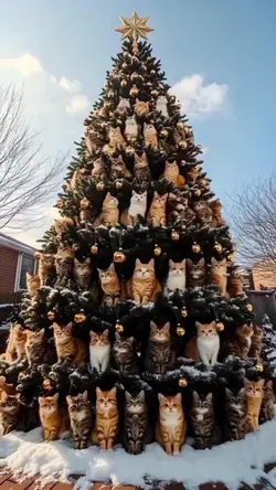 Cat Xmas tree