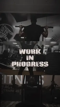 Work in progress