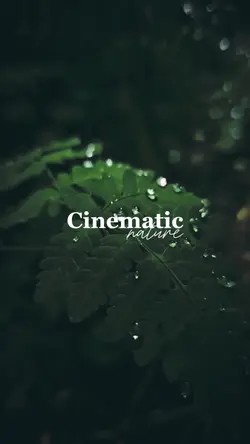 Cinematic Vibes❤️