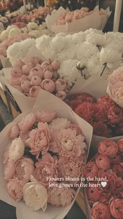 flowers