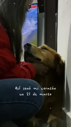 Así sonó mi corazón