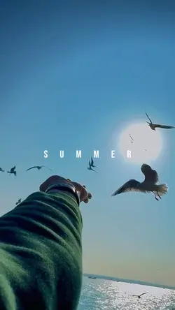 Summer | Wavin’ Flag