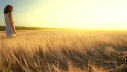 feilds of gold 