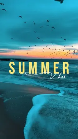 Summer Vibes