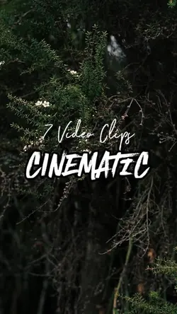 7 video clips 