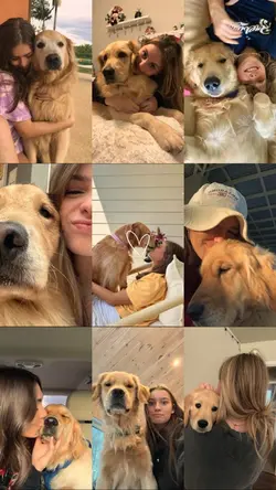 My dog