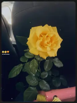 flores trend🥹💗