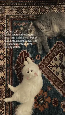 kata kata