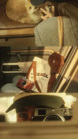 aesthetic frame 