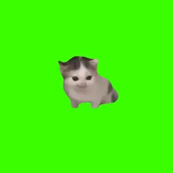 Germany cat ver1:1