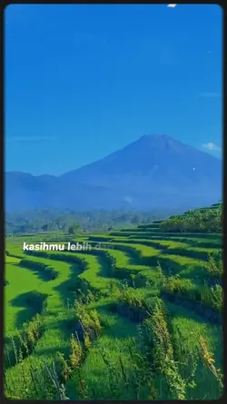 @marinee AR 