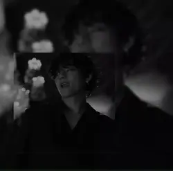 tae versss
