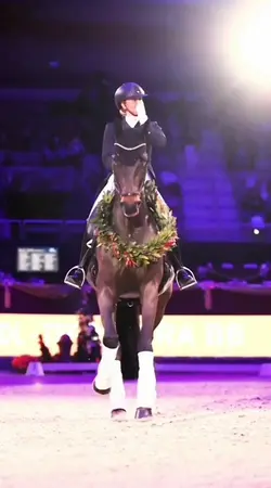 THE FINAL SHOW