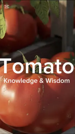 Tomato knowledge