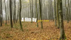 trailer film