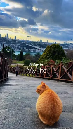 A day in my life 