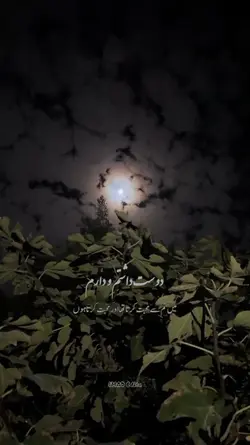 arabic song